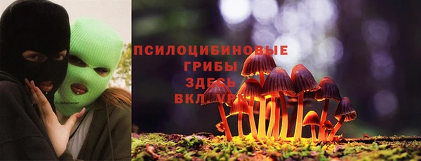 гашик Алексин