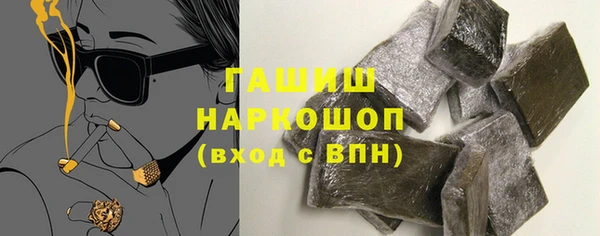 гашик Алексин