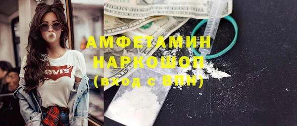 гашик Алексин