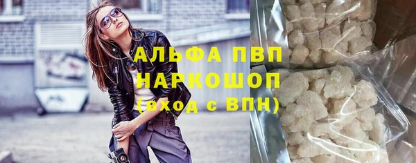гашик Алексин