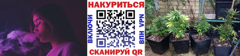 Конопля THC 21%  Суровикино 